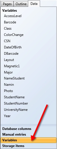 CE_Designer_Explorer_Data_Variables