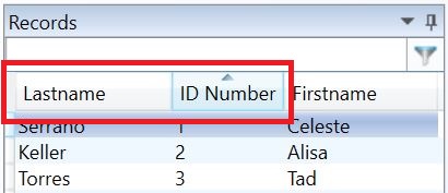 Data_Record_View_Record_Filtering